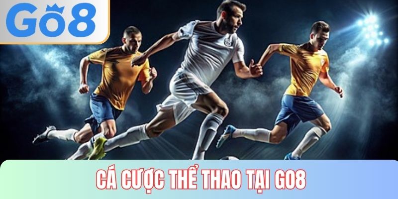 cá cược thể thao tại GO8