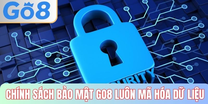 Chính sách bảo mật GO8 cam kết luôn mã hóa dữ liệu