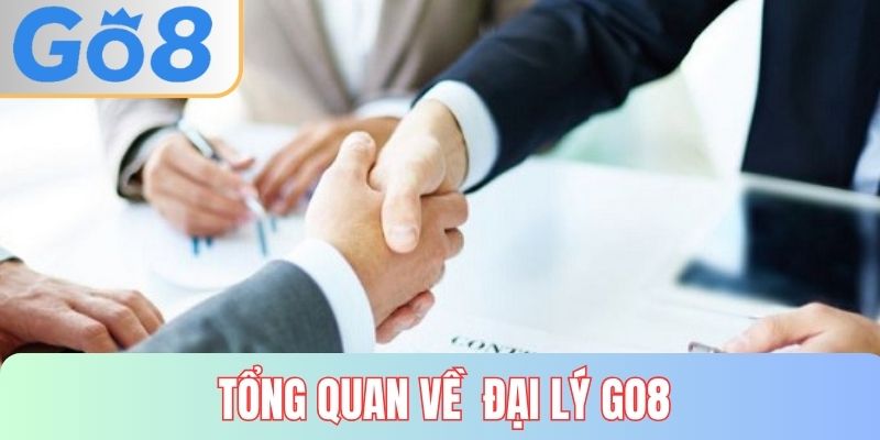 Tổng quan về đại lý GO8