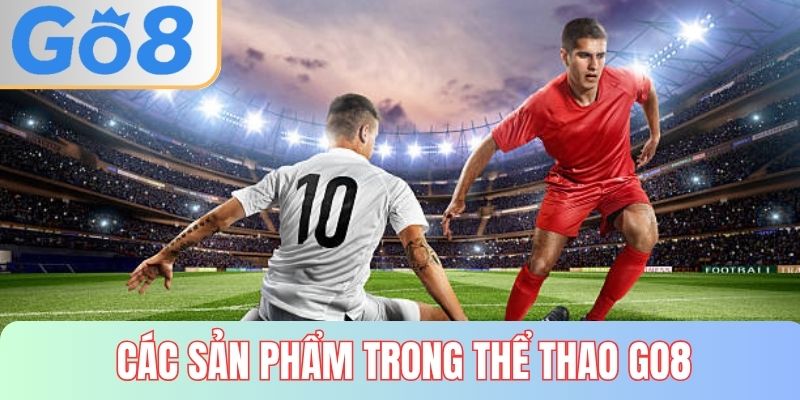Top các siêu phẩm tại sảnh GO8 